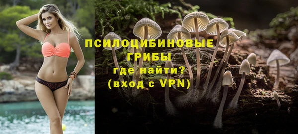 прущий лед Осташков