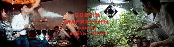 стаф Абдулино
