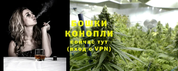 прущий лед Осташков